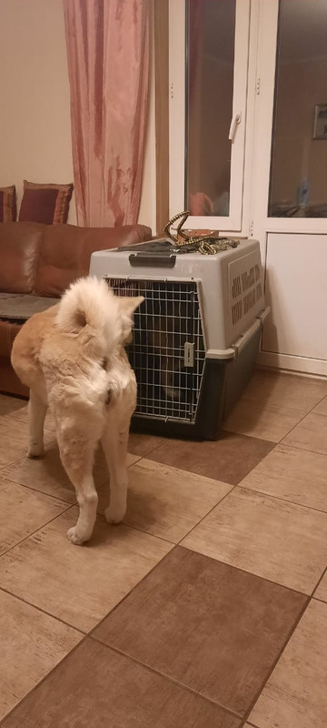 D1F6A482-E138-415A-8488-36050CB2C392