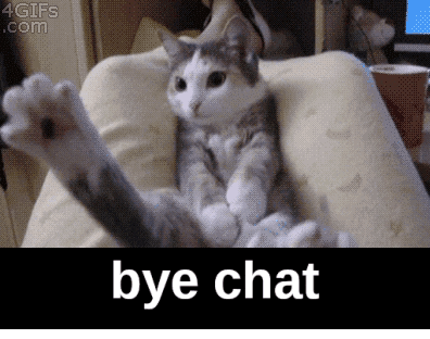 BYE-CHAT
