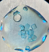 Protein Crystallization  (Biochem Exp)