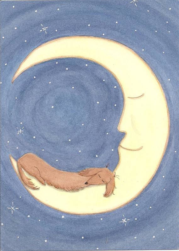 [Image: il-570x-N-868781075-or9s.jpg]