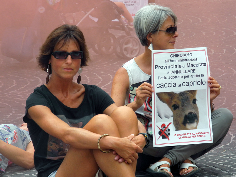 http://cronachemaceratesi.s3.amazonaws.com/wp-content/uploads/2012/08/flash_mob_no_caccia-8.jpg
