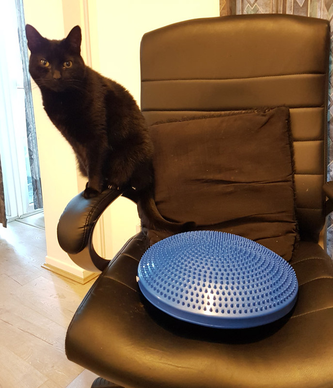 catandchair