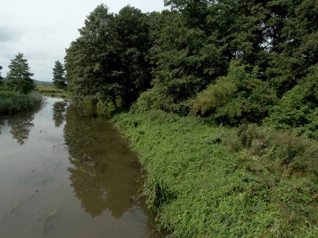 07.05 - DSC07361 (Czesio1)