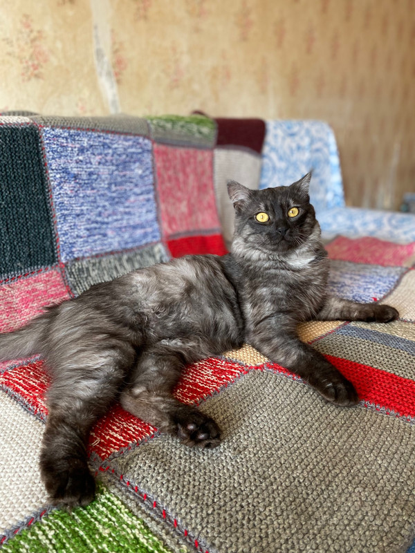 image-11-06-23-09-24-3