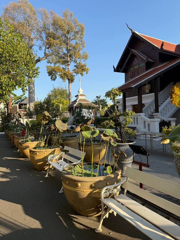 Блестяшки и вкусняшки: Новый Год в Чиангмае, Хуахин, Бангкок