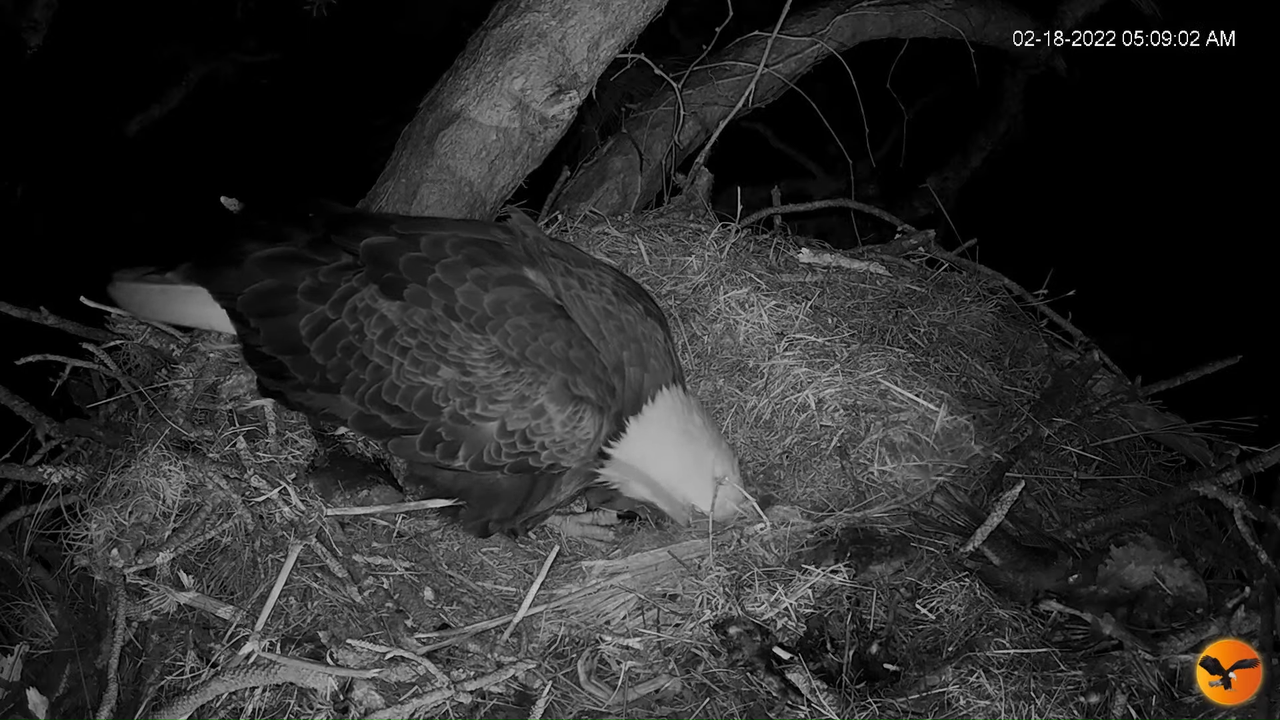 EC 4K Overhead Cam 13-31-59 screenshot