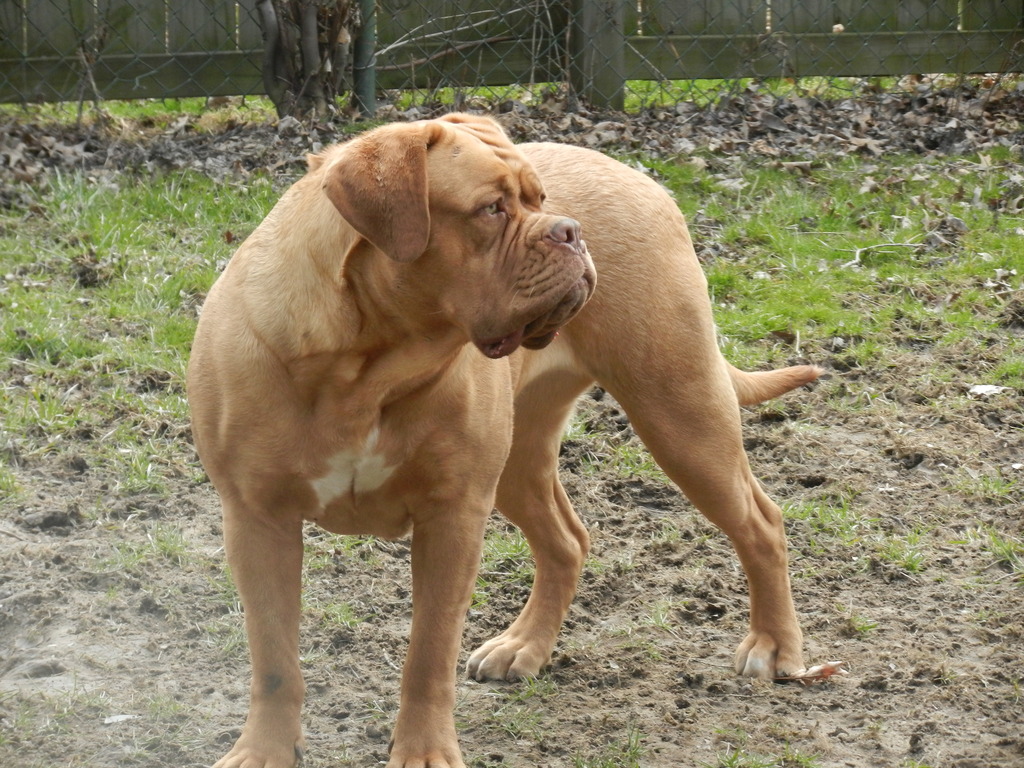 DSCN1315.jpg