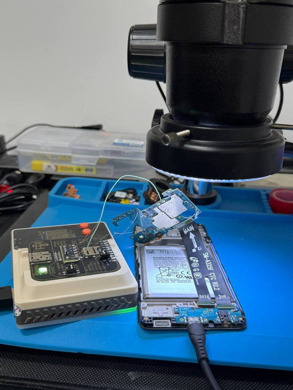 photo_2025-08-24_13-00-38