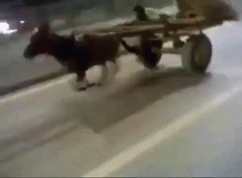tsimiks-1725795825874616561.gif
