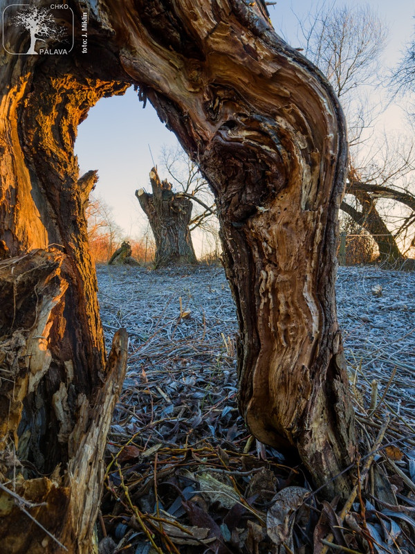 271993817_2073892809439127_5465891511722875291_n