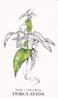 [Imagen: Nettle.jpg]