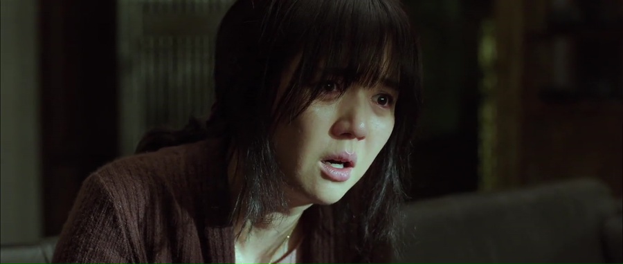 Hwayi: A Monster Boy 2013 BluRay [Hindi + Tamil + Telugu + Korean] 480p, 720p ESub Screenshot