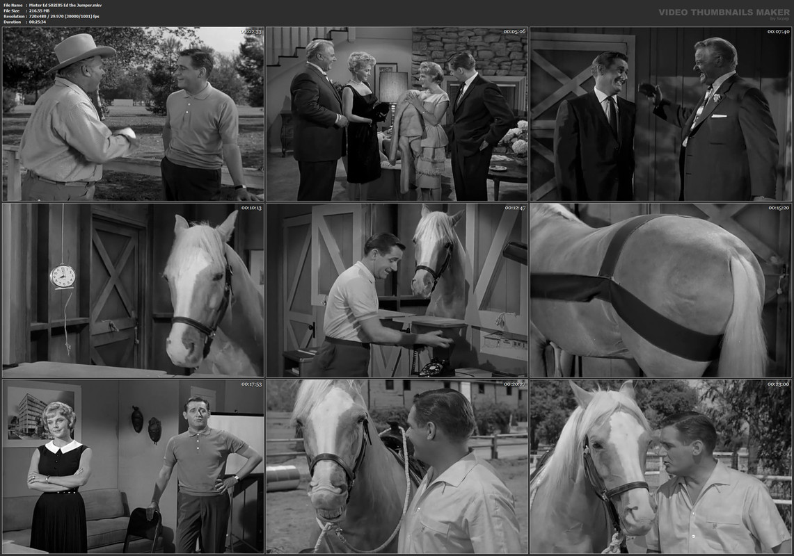 Mister Ed S02E05 Ed the Jumper.mkv