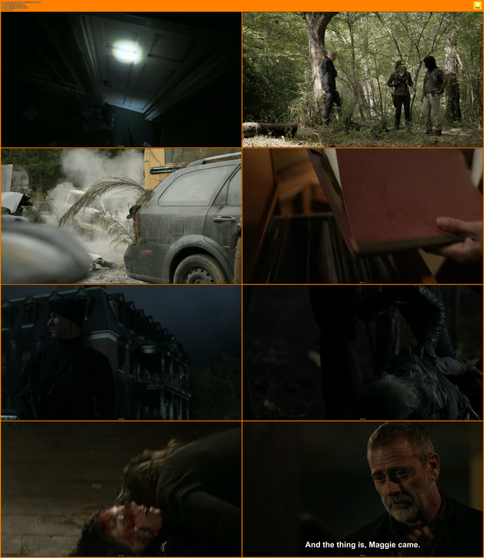 [HR] The Walking Dead S11E16 [1F974EAF].mkv