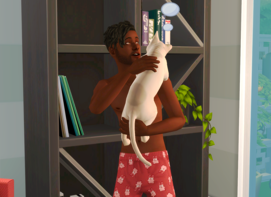 Sims2-EP9-RPC-2024-12-28-11-25-35-54