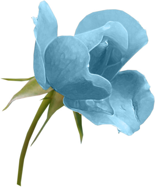 GlamourGirl_MM_Element (135)