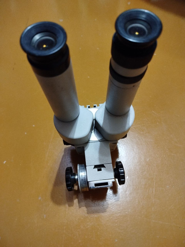 photo 8 2026 02 16 16 32 41