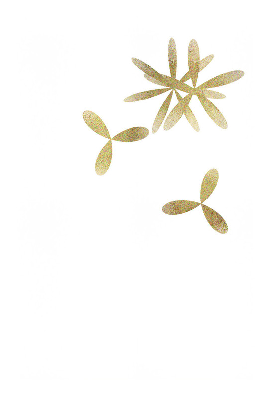 туз межмировых ветров рубашка