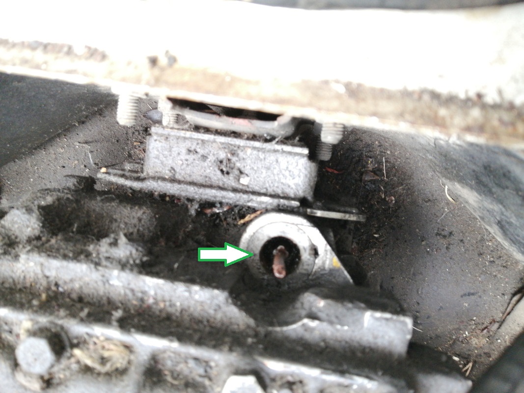 IMG-20210726-143604-BURST001-COVER