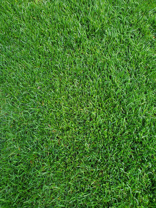 5798C252-1868-41F1-A7CC-4D97AD3680EE