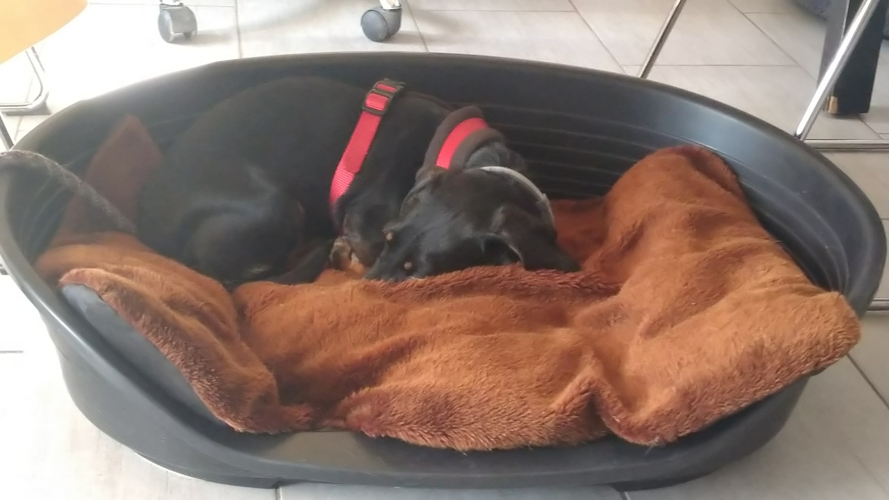 [Image: DSC-0710.jpg]