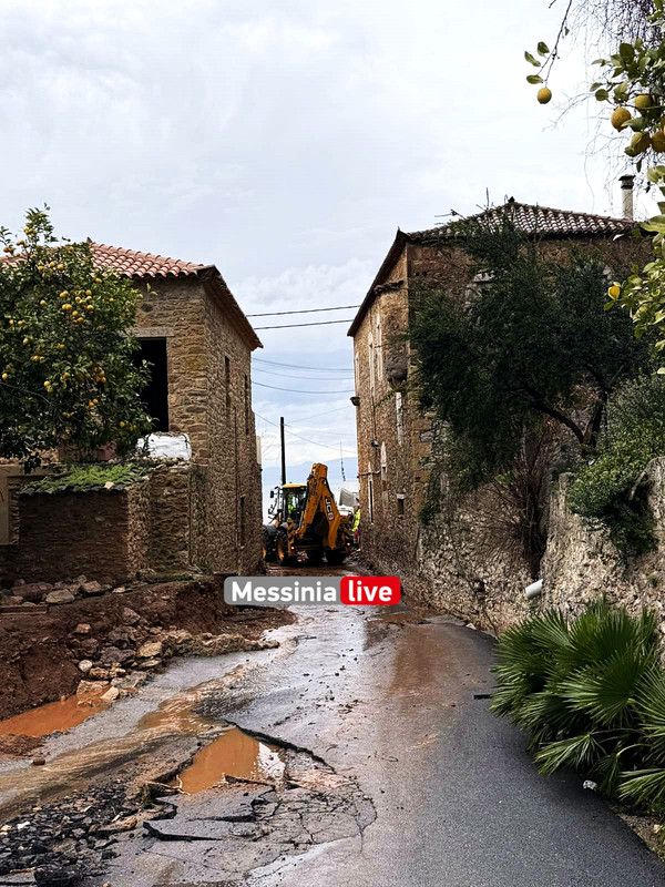 ΚΙΤΡΙΕΣ εικόνα_Viber_2025-01-13_10-42-47-280