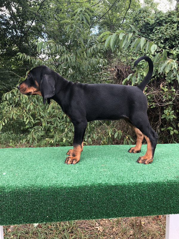 7E68FEF3-247B-4A53-BB5E-995D937C8377