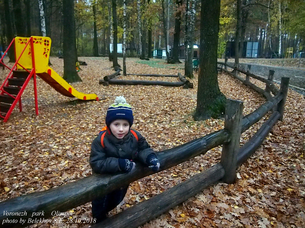 Воронеж, осень, парк