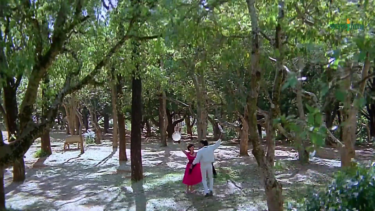 vlcsnap 2025 11 29 08h51m01s029