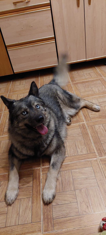 83DF2FF2-BDC9-42D1-82A8-DCEADEDB7D37