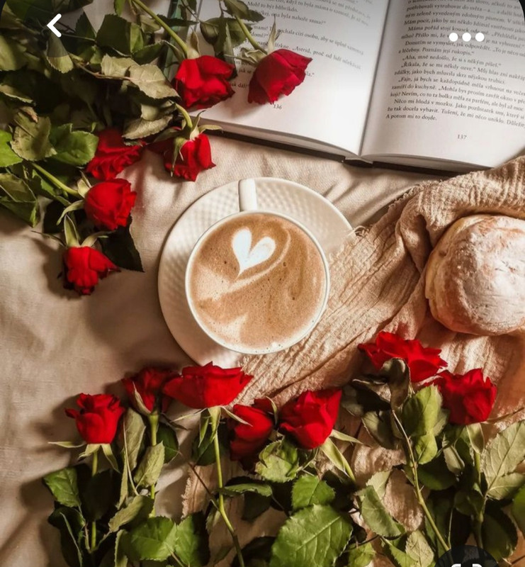 Screenshot_20230929_000329_Pinterest