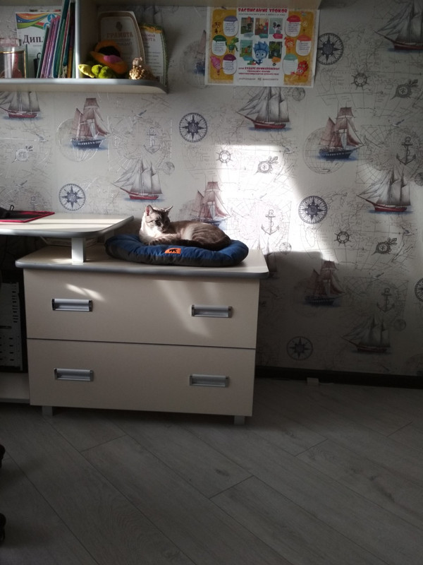 Шпингалет в новом доме3