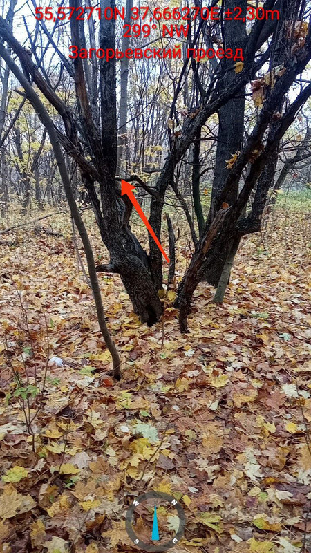 IMG_20251023_170554_923