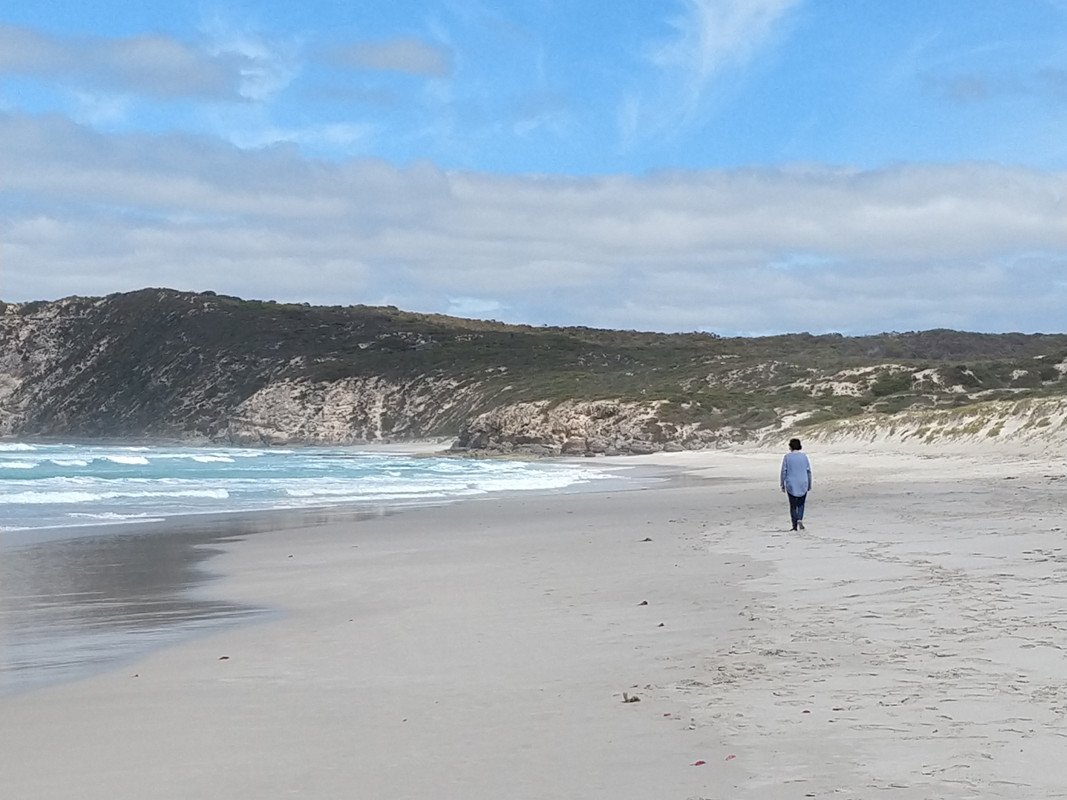 ISLA KANGURO - 1º DIA - AUSTRALIA , "QUE GRAN PAIS" (2)