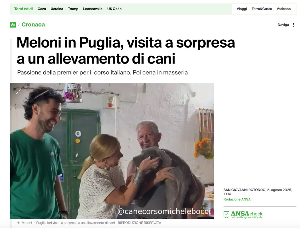 Immagine