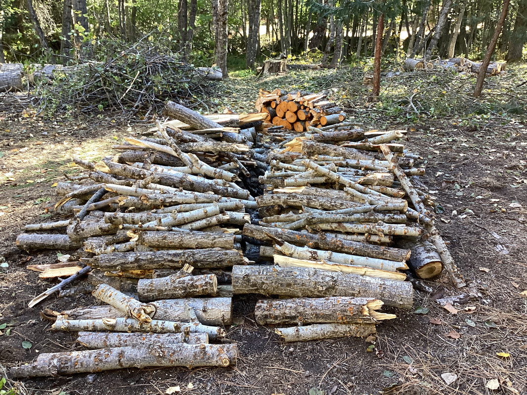 F13DCA55-2775-4787-8159-63A64226ADC8