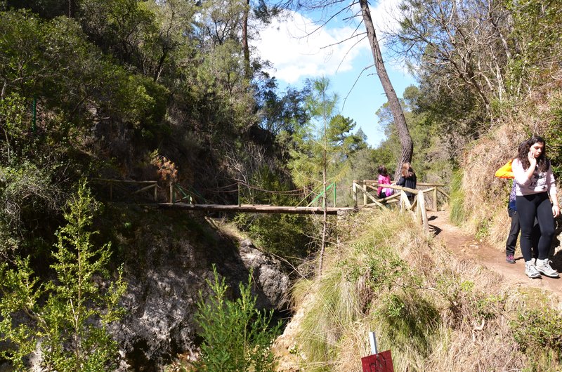 RUTA RIO BOROSA-12-3-2016-JAEN - Paseando por España-1991/2016 (43)