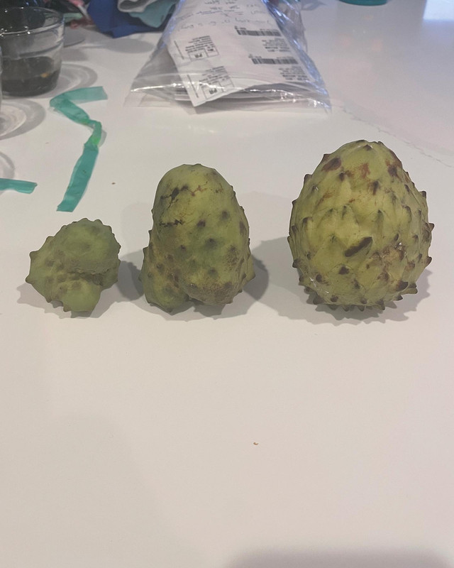 2A9EE437-2258-43A4-B9D2-8DEA70F56CED