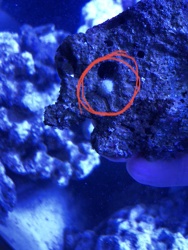 E23E13EC-8C60-4813-A5F5-32F5FD21E399