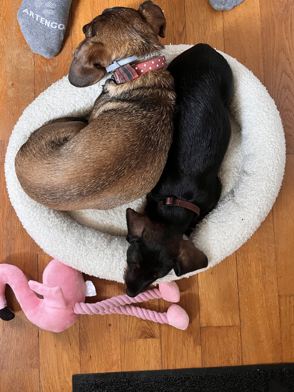 [Image: IMG-1631.jpg]