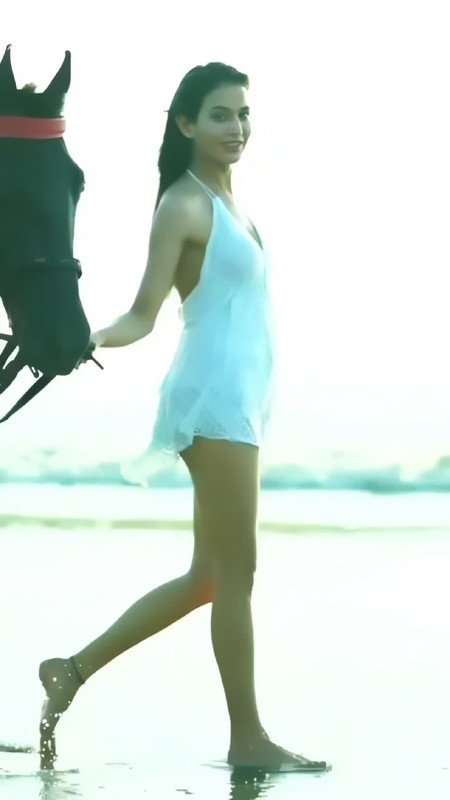 IMG_20241105_233238_505