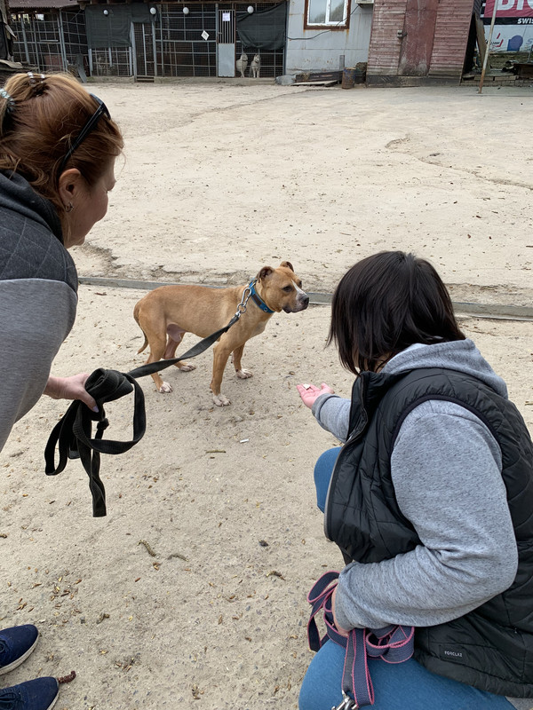 7A2BA364-FFF6-43D7-A597-B507B3FB5057