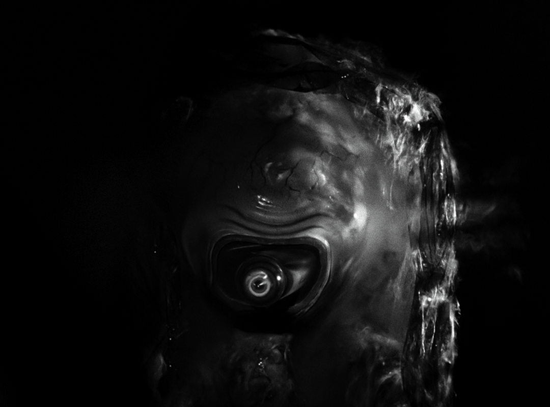 IT CAME REFERENCE (8)