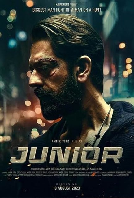 Junior (2023) Punjabi HDRip H264 AAC 1080p 720p 480p ESub