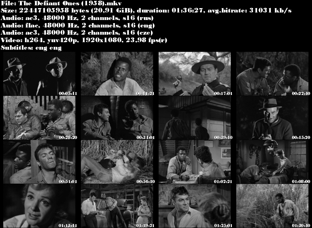 Útěk v řetězech / The Defiant Ones (1958)