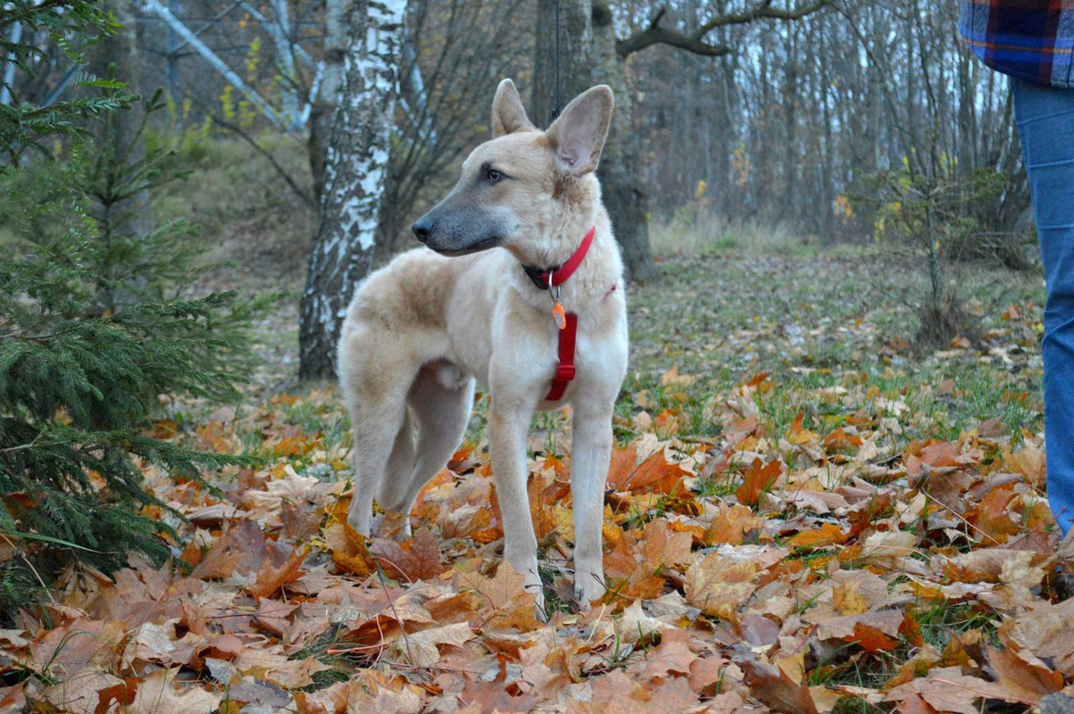 IMG-271bbc74cb8fe579883b8137f567013c-V