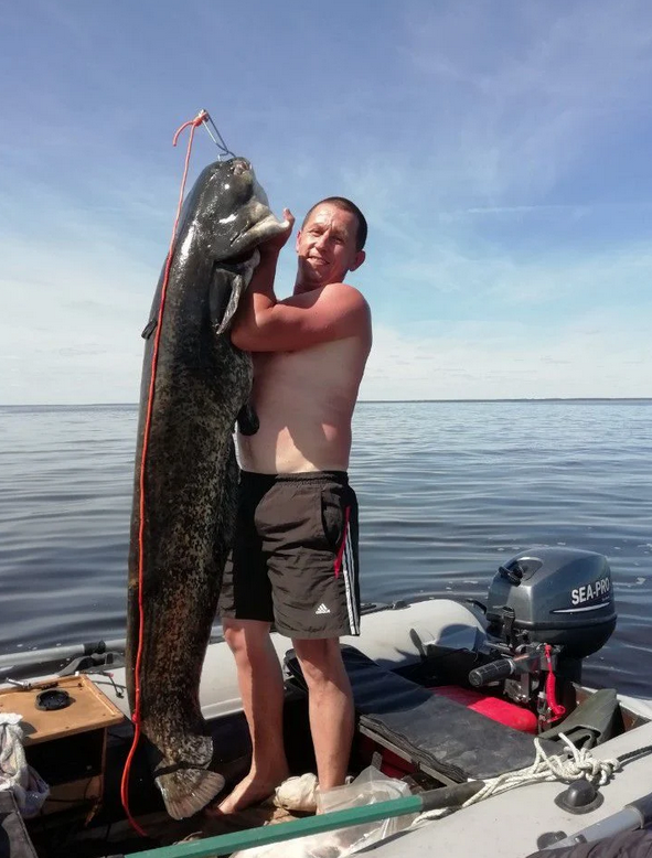 Кукан в работе!