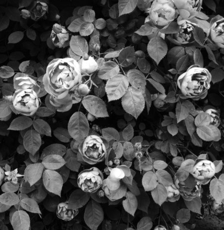 Screenshot_20230401_011034_Pinterest