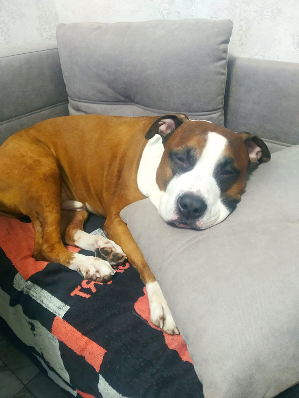 D3F7CEA0-BFAA-4703-9E3C-E725957F7B8F