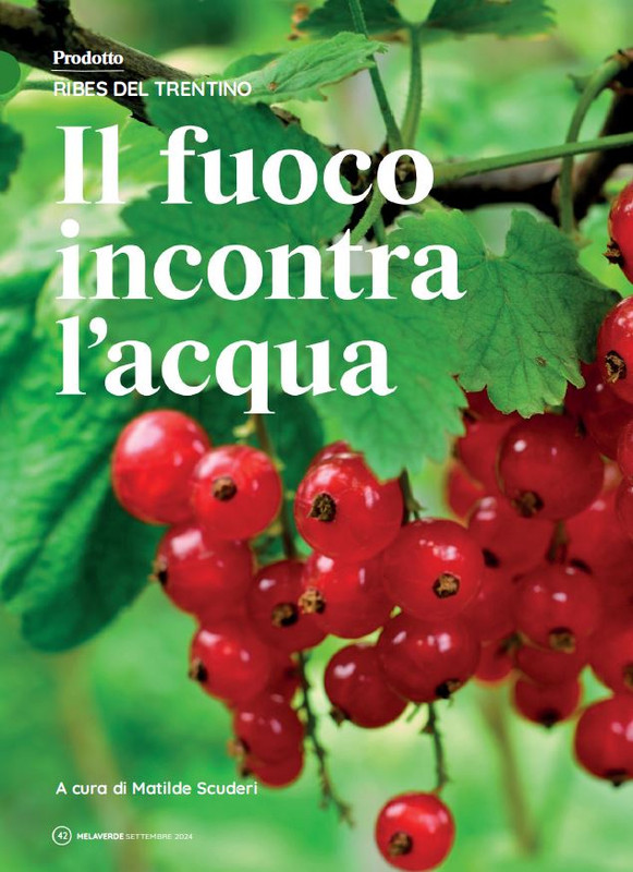 melaverde Set 2024 (5)